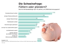 Was nun? Sparkonto plündern oder füttern?