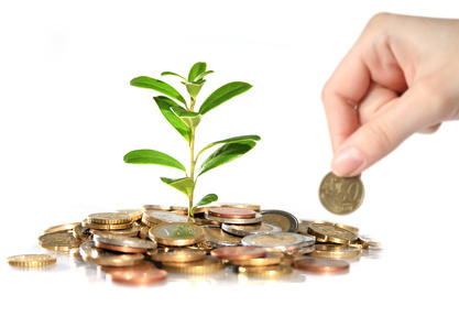 Die Banken - Zinsen für Geldanlagen - Münze bank banking baum blume bramkofel business darlehen earnings energie erfolg ersparnis euro euromünzen europa financial fortschritt geld gold growth grün hartgeld haufen hilfe hintergrund investieren isoliert kapitalanlage konzept leaf manama marché monetary märkte natur pflanze pflege pile samen symbol wachsen weiß wirtschaftliches wohlstand zinsen.